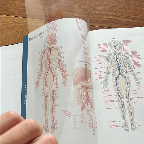 Human Body textbook - Picture 4 of 11